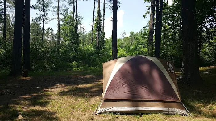Sawmill Road Campground D - Jesse Owens State Park Picture 9
