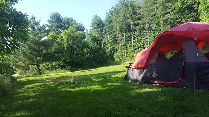 Sawmill Road Campground D - Jesse Owens State Park Picture 10