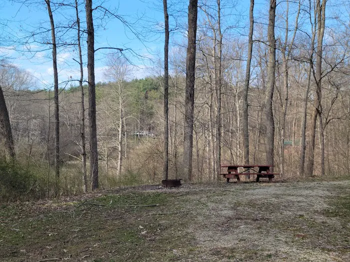Jesse Owens State Park - Hook Lake Campground Picture 8