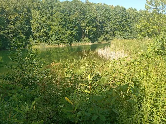 Jesse Owens State Park-Maple Grove Campground G Picture 10