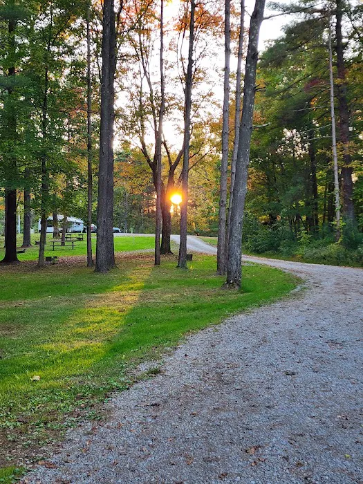Jesse Owens State Park-Maple Grove Campground G Picture 8