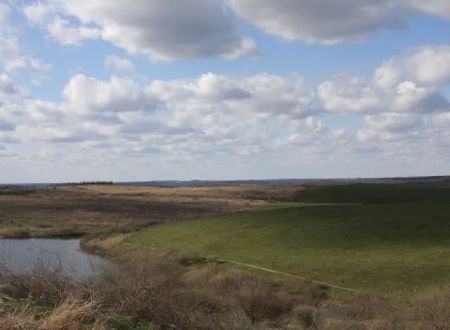 AEP Recreation Land Campground C