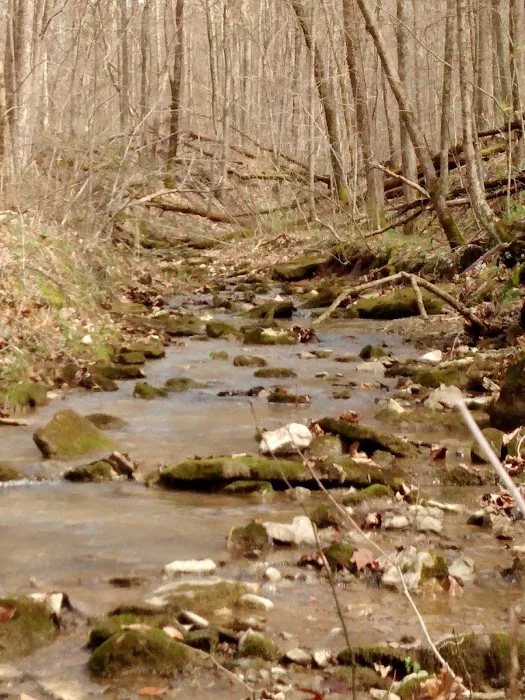 AEP Recreation Land Campground C Picture 10