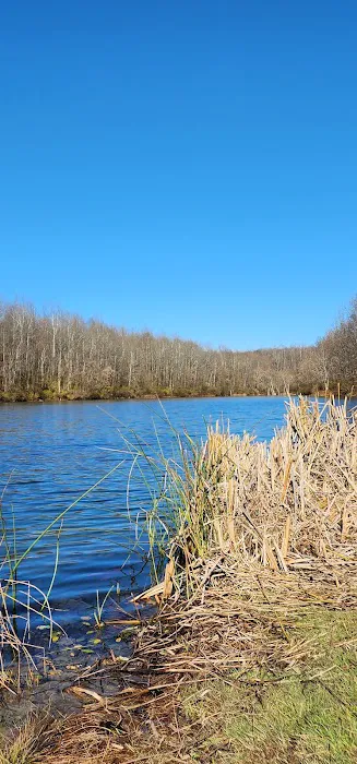 AEP Recreation Land Campground C Picture 6