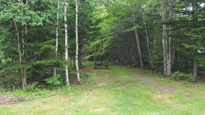 Greenlaw's RV Park and Campground Picture 4