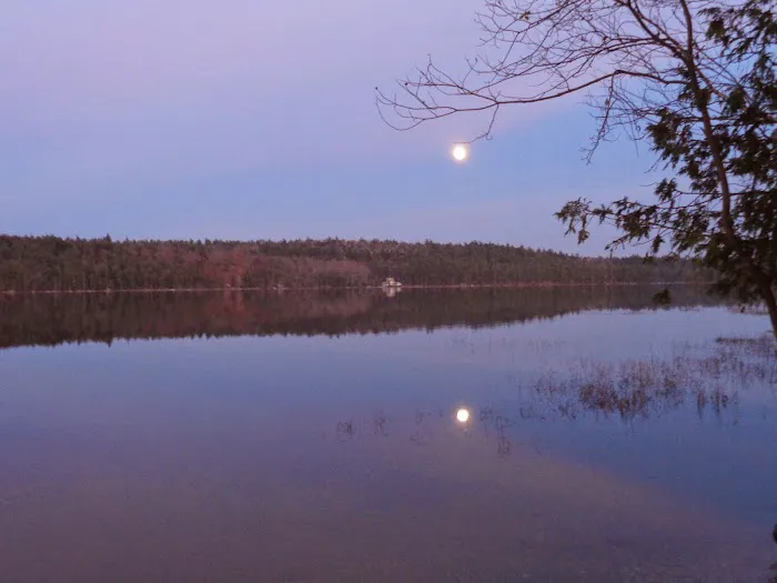 Balsam Cove Campground Picture 1