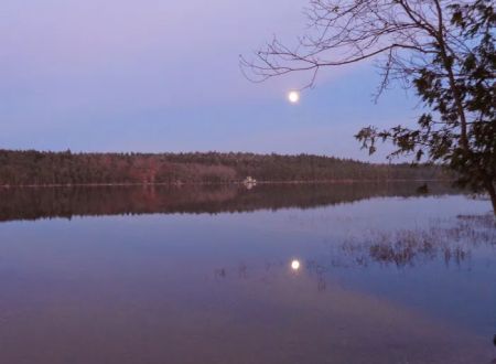 Balsam Cove Campground