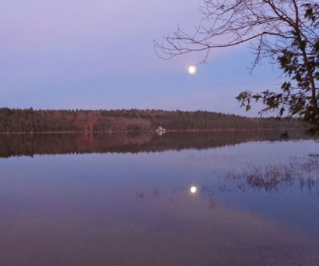 Balsam Cove Campground