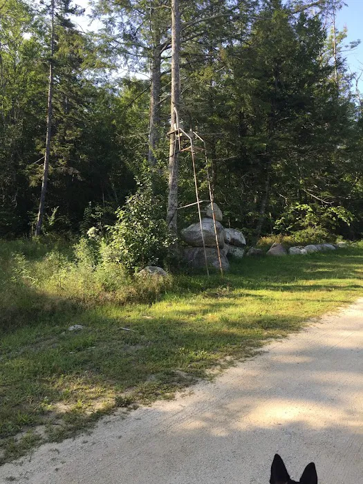 Wanderin Moose Campground Picture 3