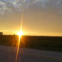 Lakeview Mobile Homes ico