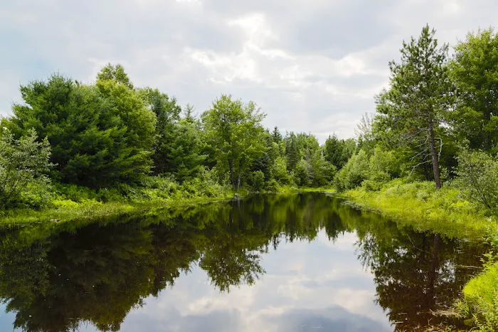 Patten Pond Campground Picture 9