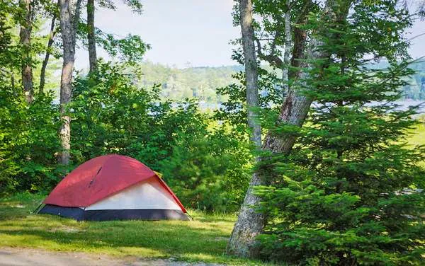Patten Pond Campground Picture 3