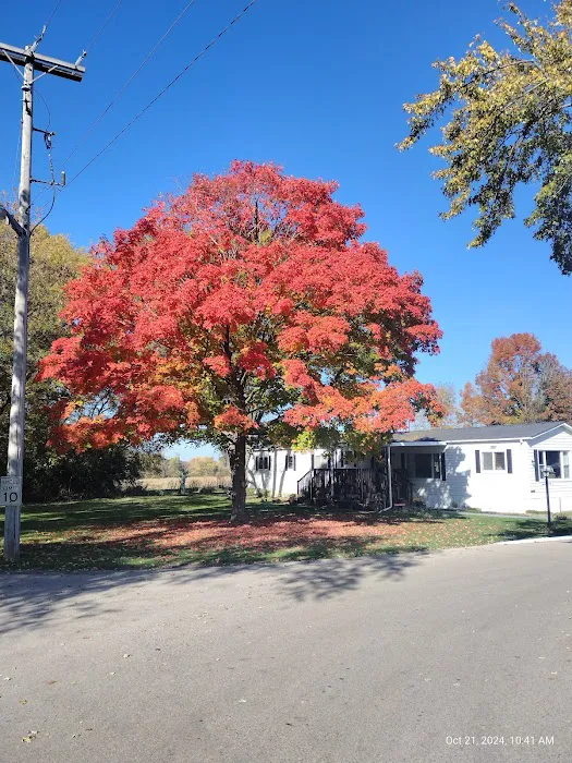 Rainbow Lake Manor Picture 8