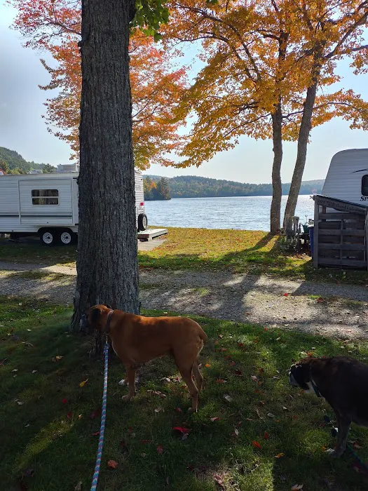 Parks Pond Campground Picture 9