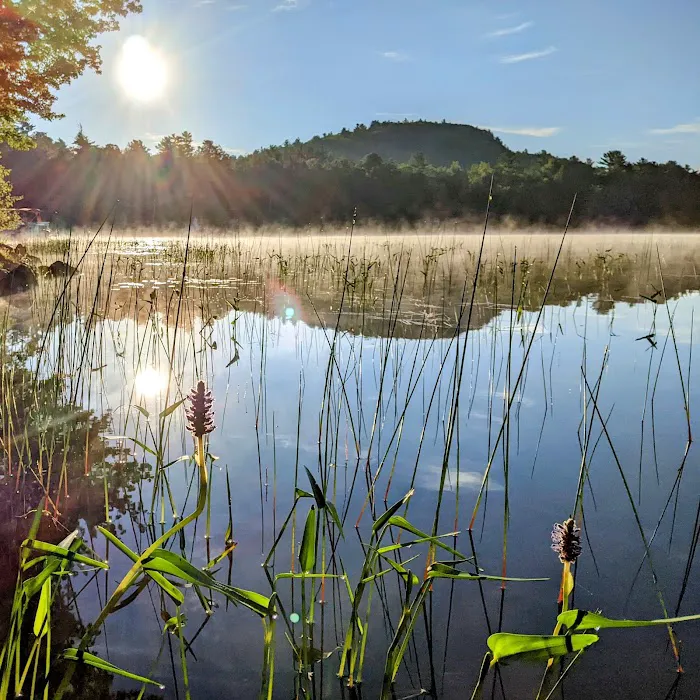 Parks Pond Campground Picture 3