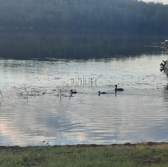 Parks Pond Campground Picture 10