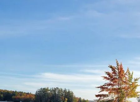 Branch Lake Camping Area