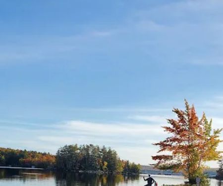 Branch Lake Camping Area