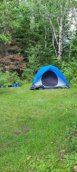 Roll Dam Campground Picture 1