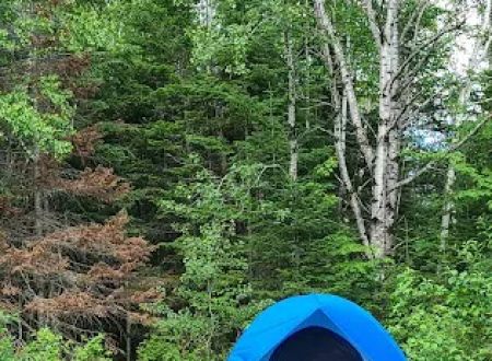 Roll Dam Campground