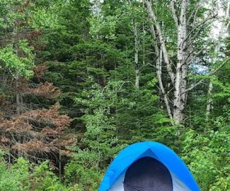 Roll Dam Campground
