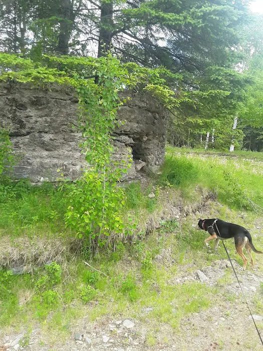 Moose River Campground Picture 7