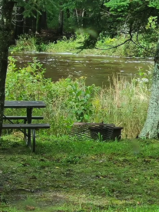 Moose River Campground Picture 5