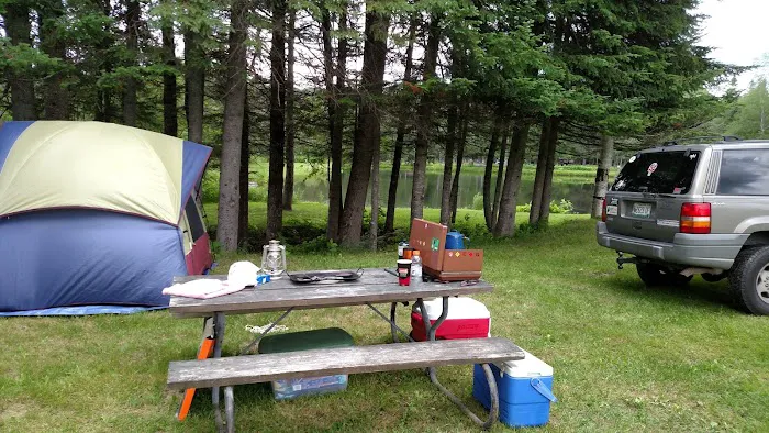 Moose River Campground Picture 1