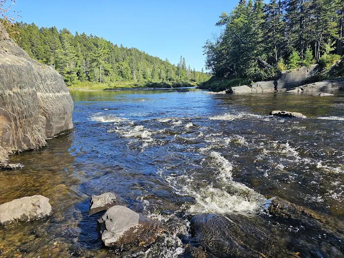 Leadbetter Falls Campsite Picture 2