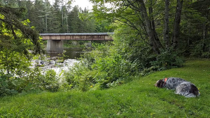 Leadbetter Falls Campsite Picture 3
