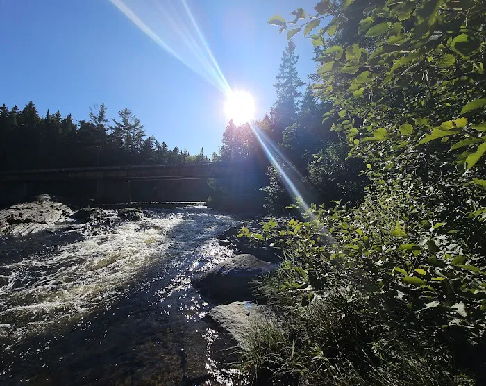 Leadbetter Falls Campsite Picture 5