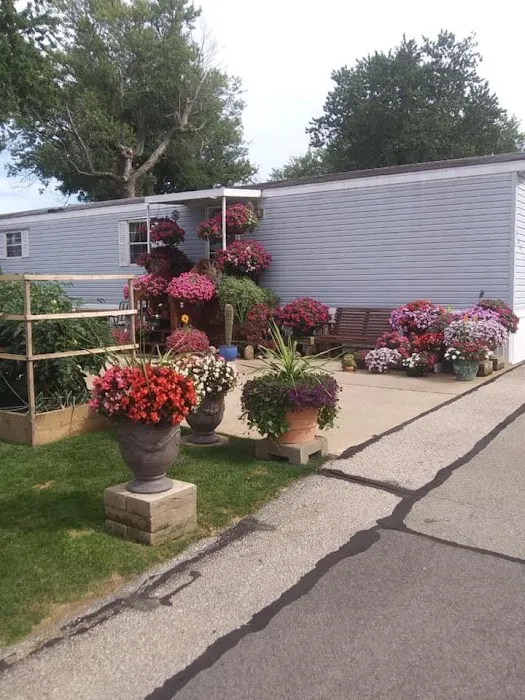 Hilltop Mobile Homes Picture 10