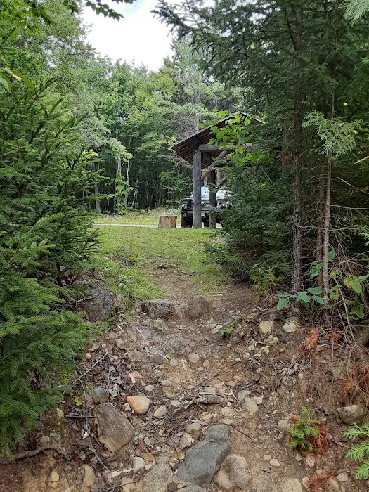 Jo Mary Lake Campground Picture 6