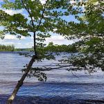 Jo Mary Lake Campground