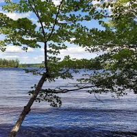 Jo Mary Lake Campground ico