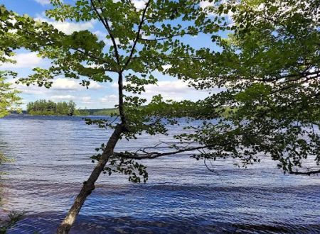 Jo Mary Lake Campground