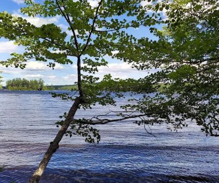 Jo Mary Lake Campground