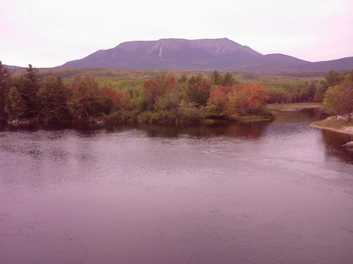 Rainbow Stream Lean-to Picture 1