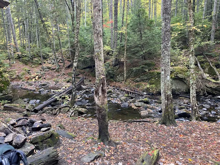 Rainbow Stream Lean-to Picture 3