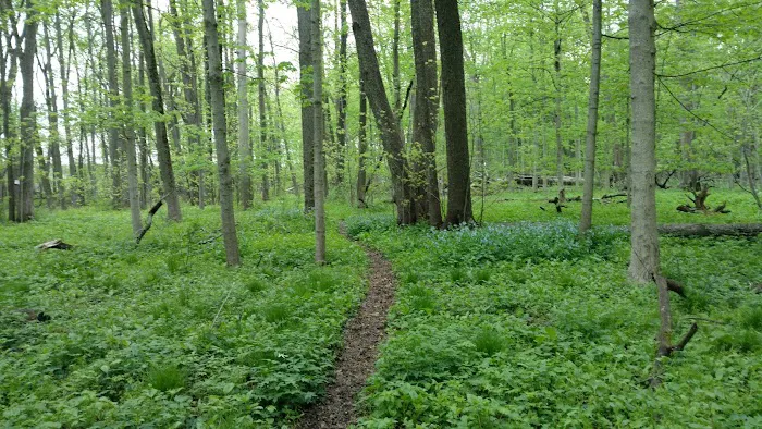Forest View Manor Mobile Home Picture 2