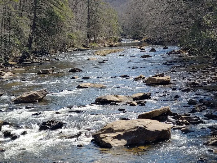 Big Rock Campground Picture 6