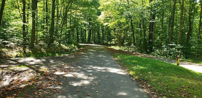 Summit Lake Campground Picture 3