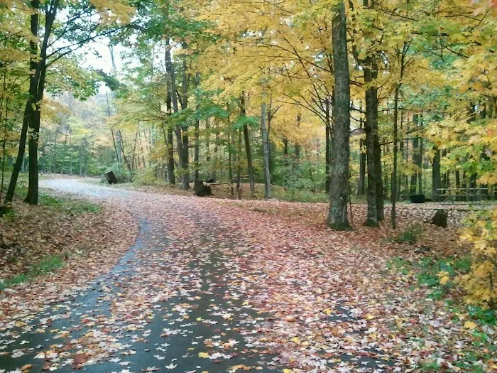 Summit Lake Campground Picture 6