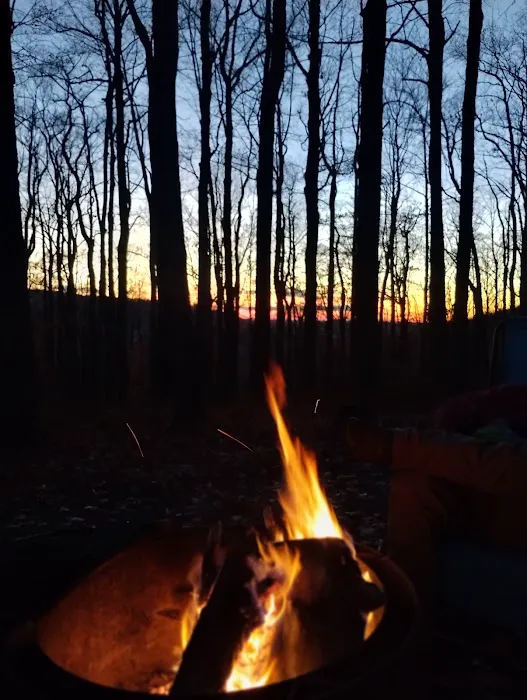 Summit Lake Campground Picture 4