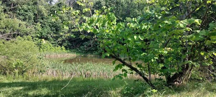 Goose Dam Campground Picture 2