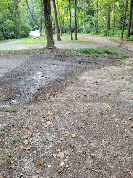 Goose Dam Campground Picture 7