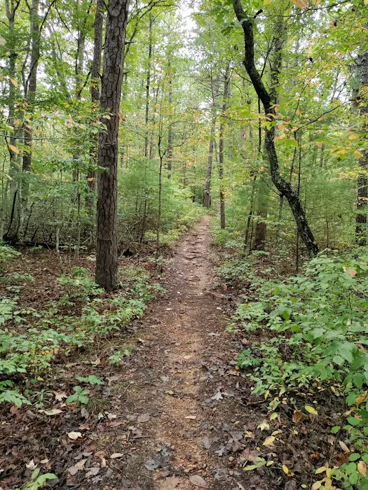 Boley Field Group Campground Picture 9