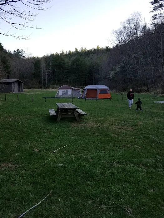 Boley Field Group Campground Picture 10