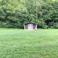 Boley Field Group Campground ico