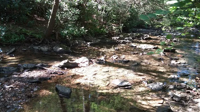 Boley Field Group Campground Picture 5